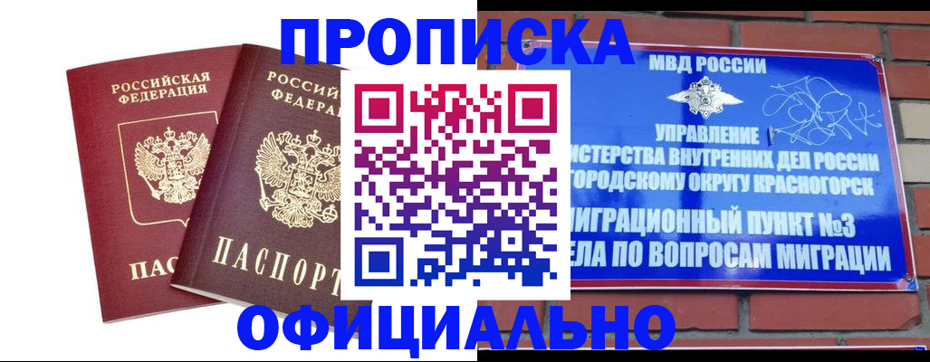 временная регистрация адрес в Мирном